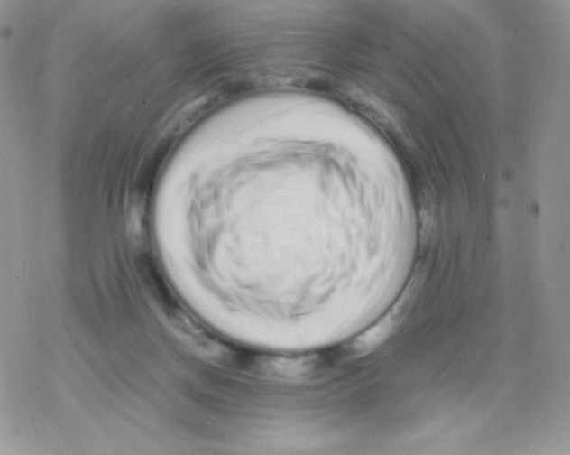 X0000077390166200611172048