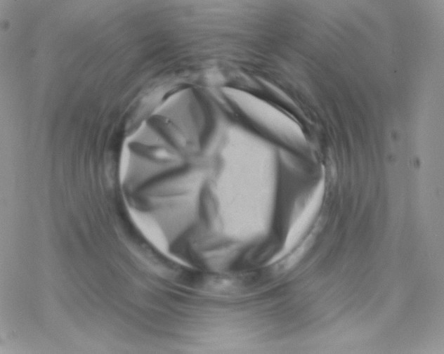 X0000077390174200611172048