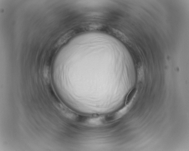 X0000077390178200611172048