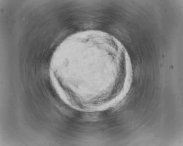 X0000077390179200611172048