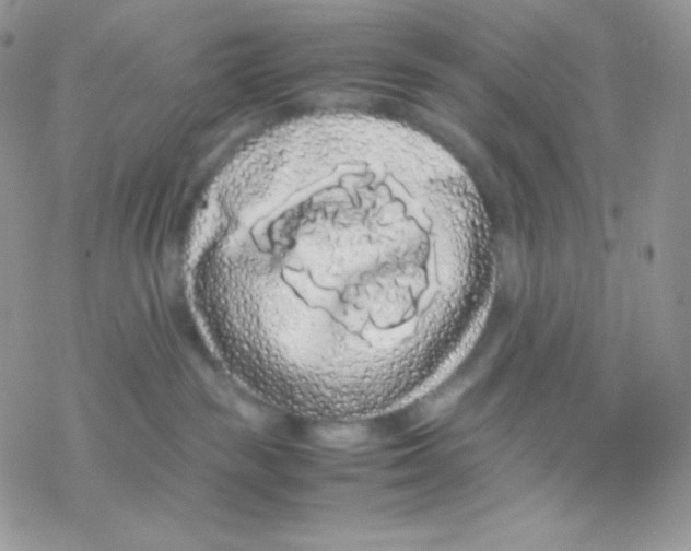 X0000077390189200611172048
