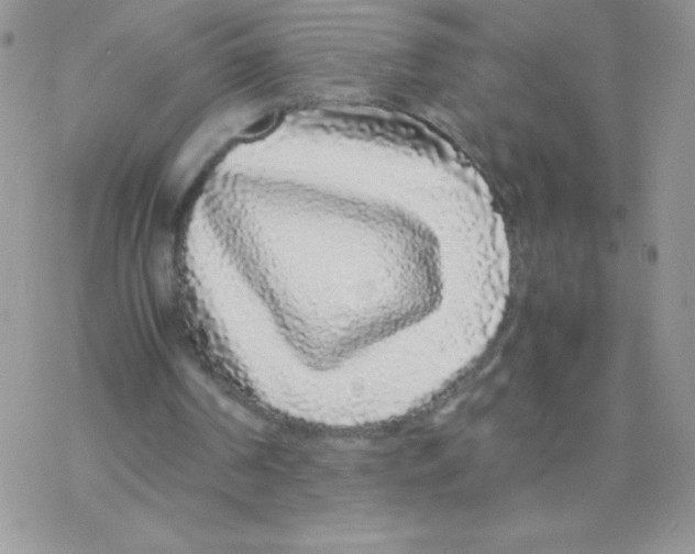X0000077390194200611172047