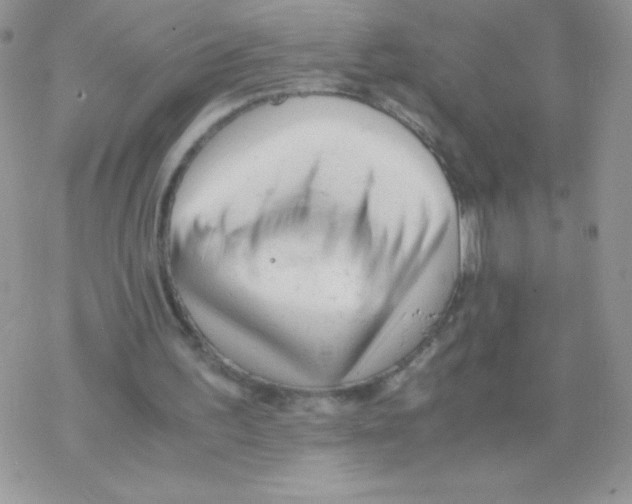 X0000077390195200611172047