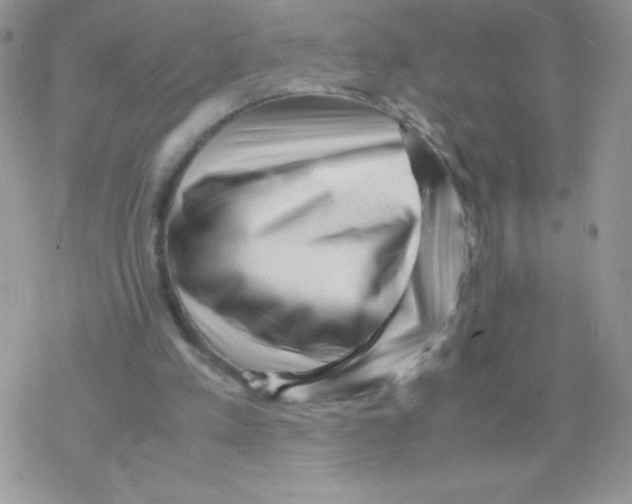X0000077390197200611172047