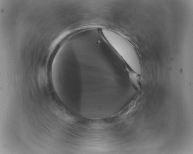 X0000077390200200611172047