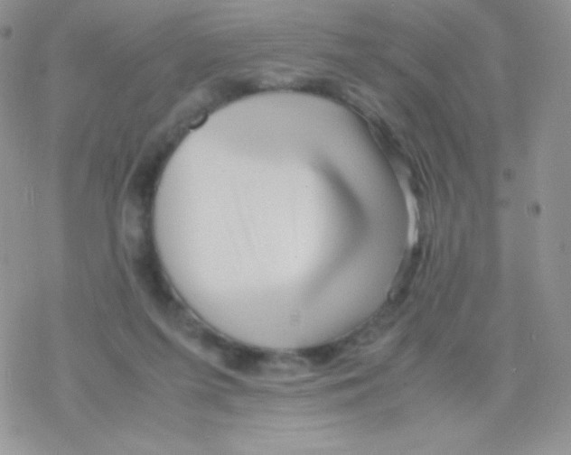 X0000077390215200611172047