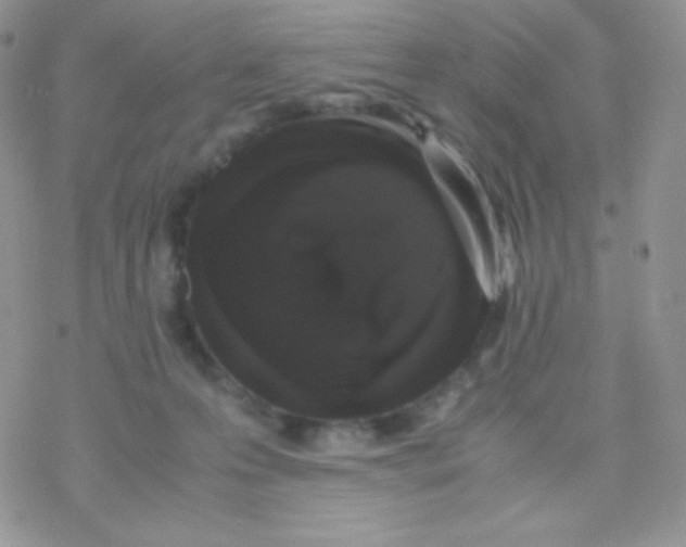 X0000077390223200611172047