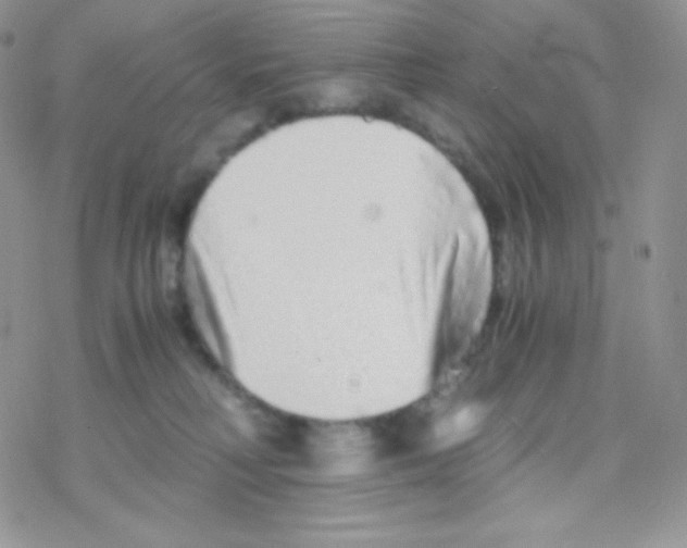 X0000077390230200611172047