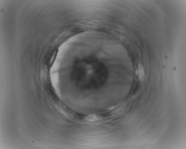 X0000077390231200611172047