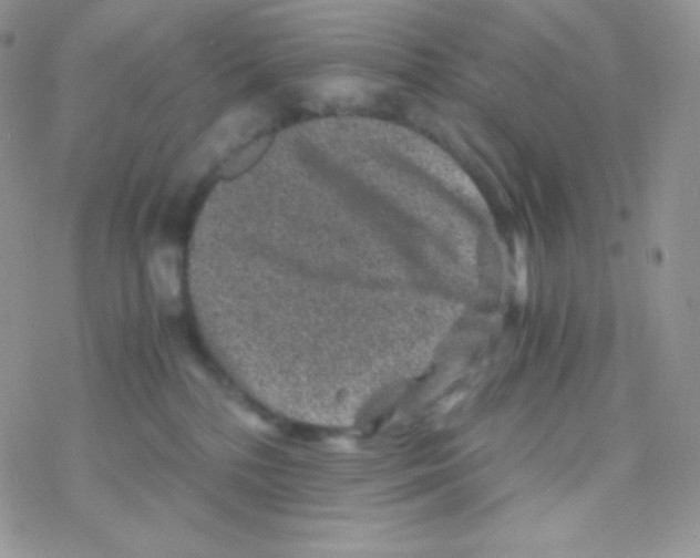 X0000077390232200611172047