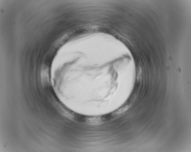 X0000077390238200611172047
