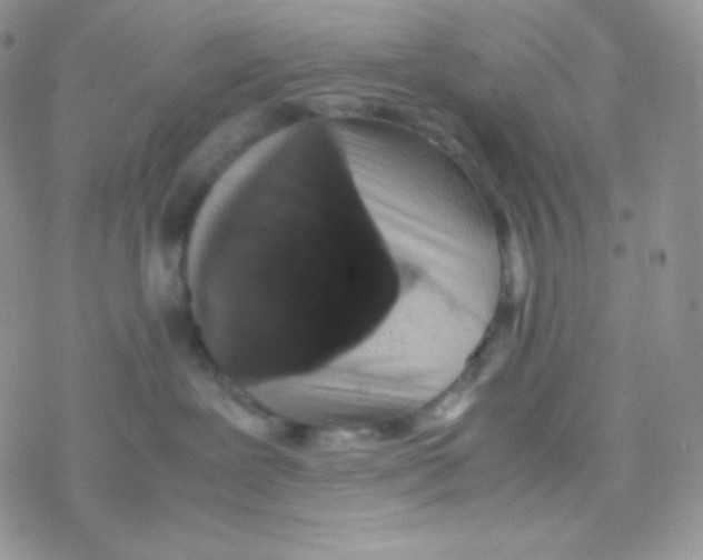 X0000077390239200611172047