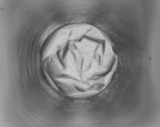 X0000077390242200611172046