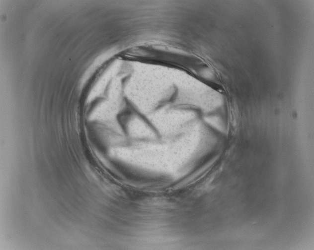X0000077390244200611172046