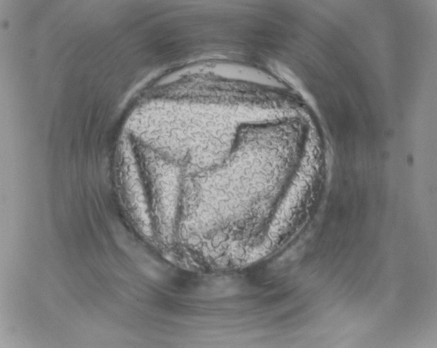 X0000077390249200611172046