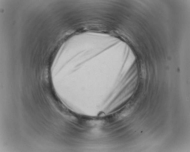 X0000077390255200611172046