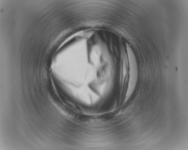 X0000077390256200611172046