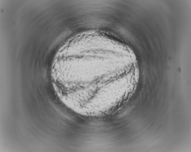 X0000077390258200611172046