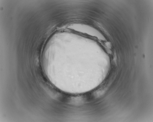 X0000077390259200611172046