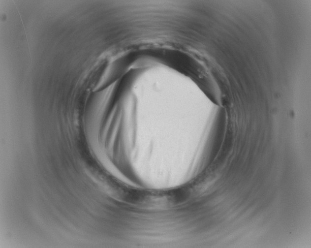 X0000077390260200611172046