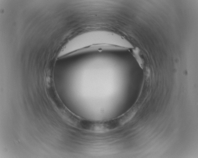 X0000077390264200611172046