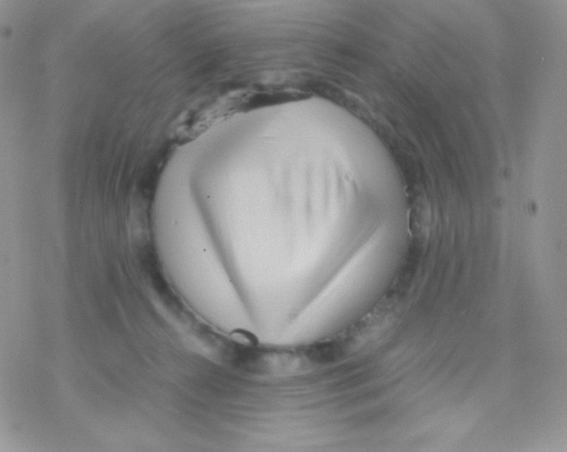 X0000077390272200611172046