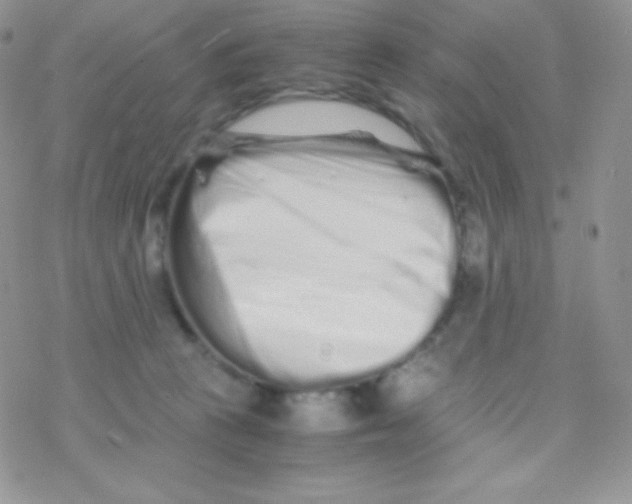 X0000077390273200611172046