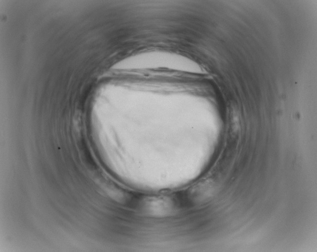 X0000077390275200611172046