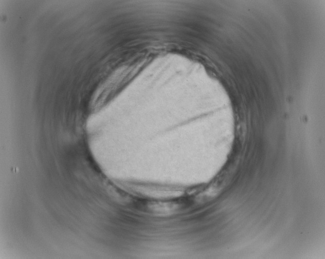 X0000077390277200611172046