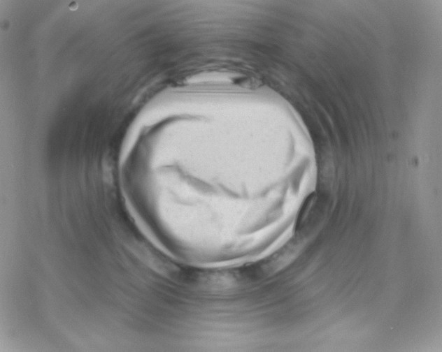 X0000077390282200611172047