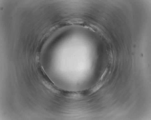 X0000077390284200611172047
