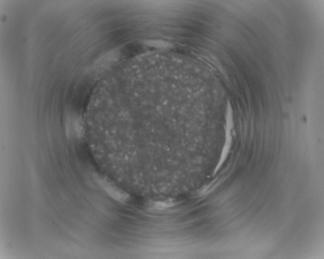 X0000077390285200611172047