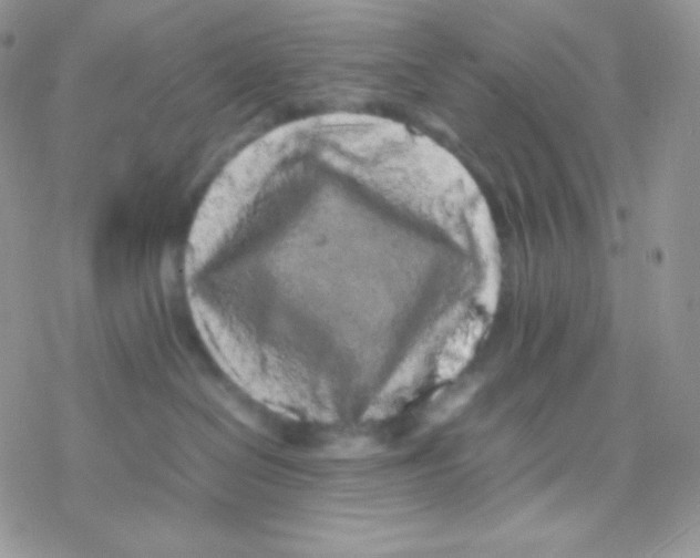 X0000077390286200611172047