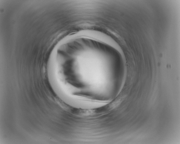 X0000077390288200611172047