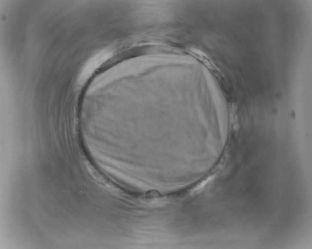X0000077390293200611172046