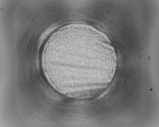 X0000077390294200611172046