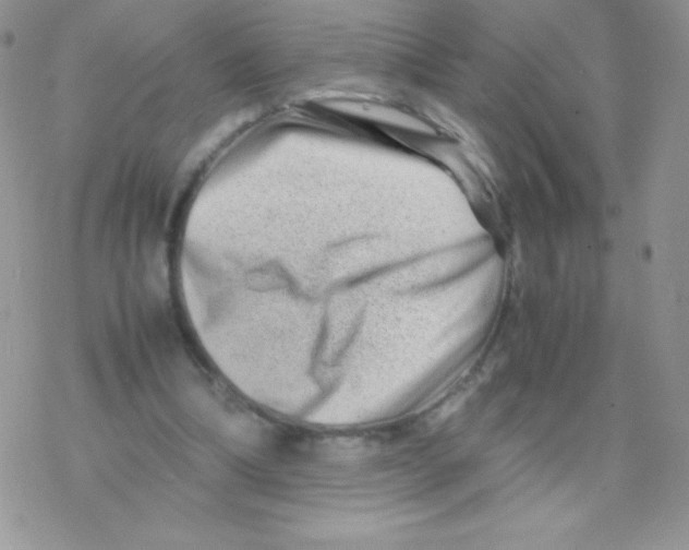 X0000077390298200611172046