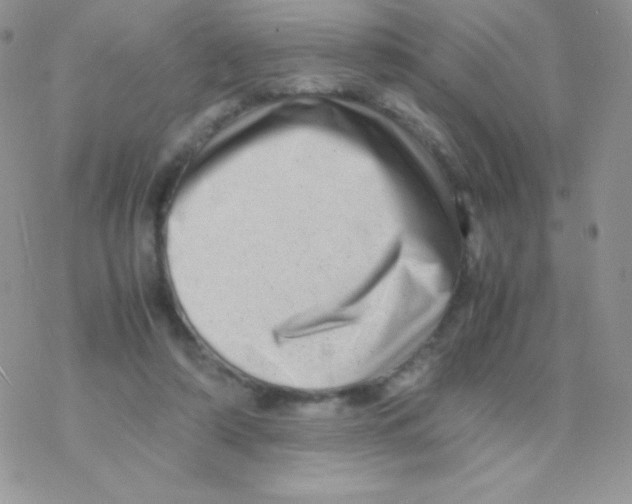 X0000077390306200611172046