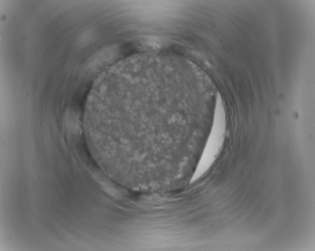 X0000077390331200611172045