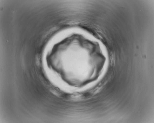 X0000077390335200611172045