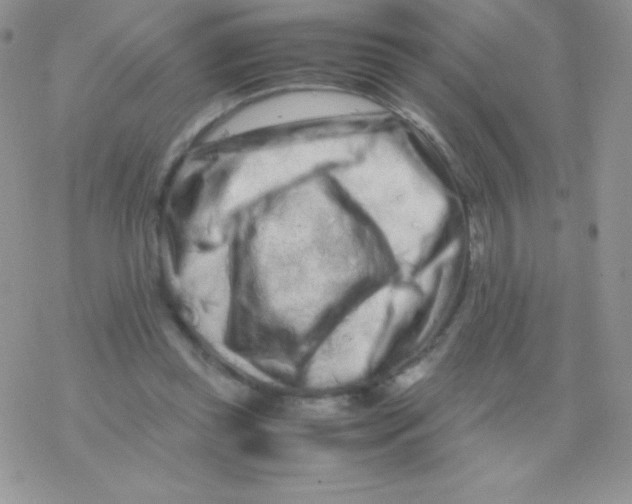 X0000077390349200611172045