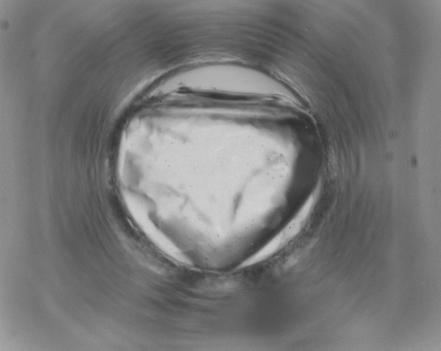 X0000077390351200611172045