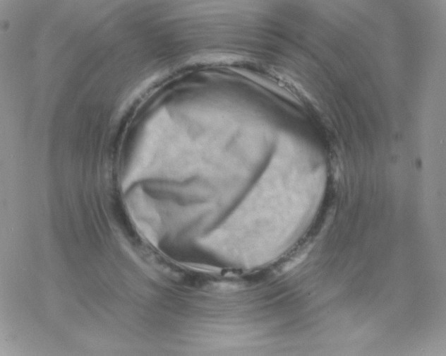 X0000077390352200611172045