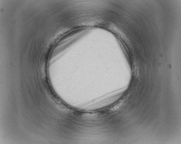 X0000077390354200611172045