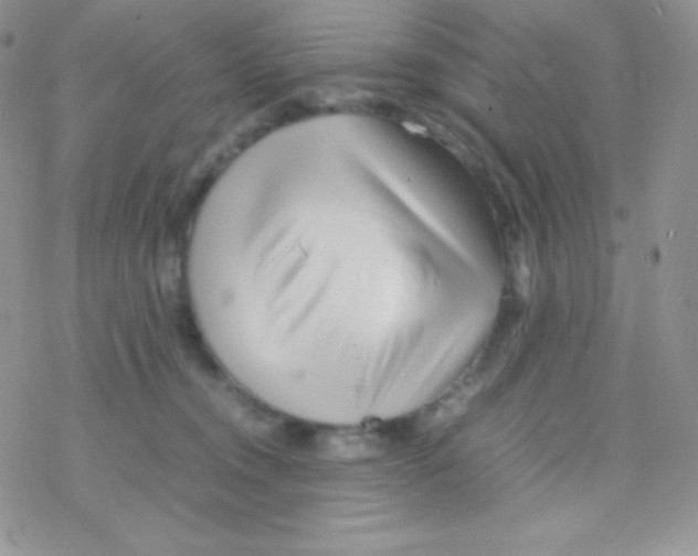 X0000077390372200611172045