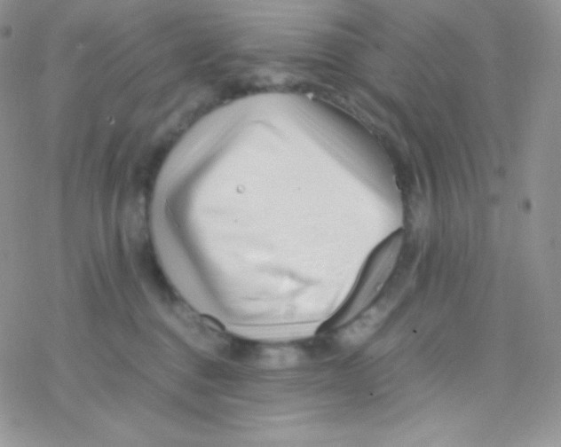 X0000077390376200611172045