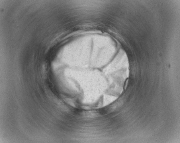 X0000077390378200611172045