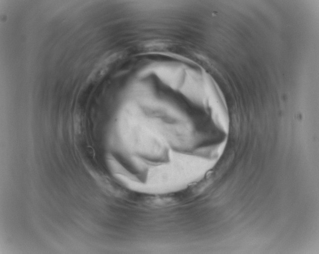 X0000077390379200611172045