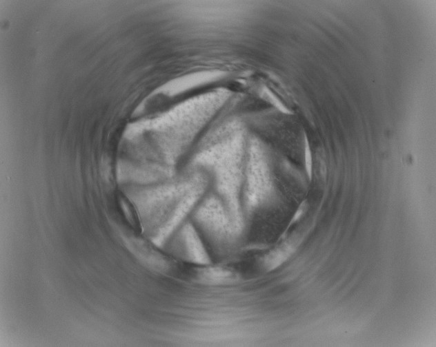 X0000077390380200611172045