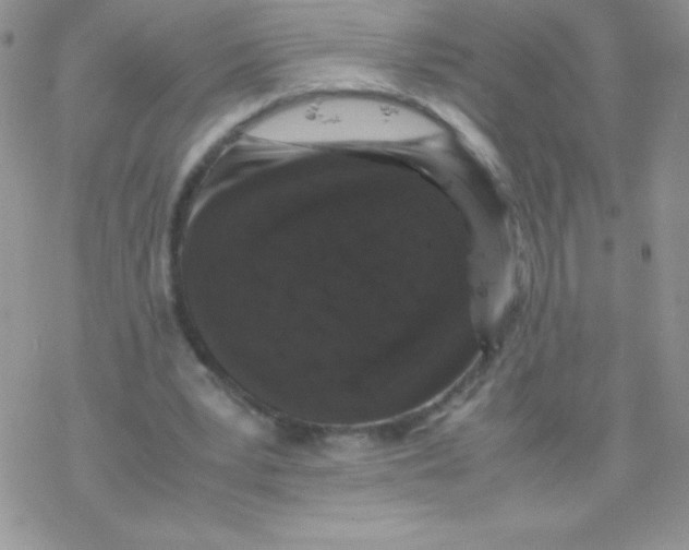 X0000077390391200611172044
